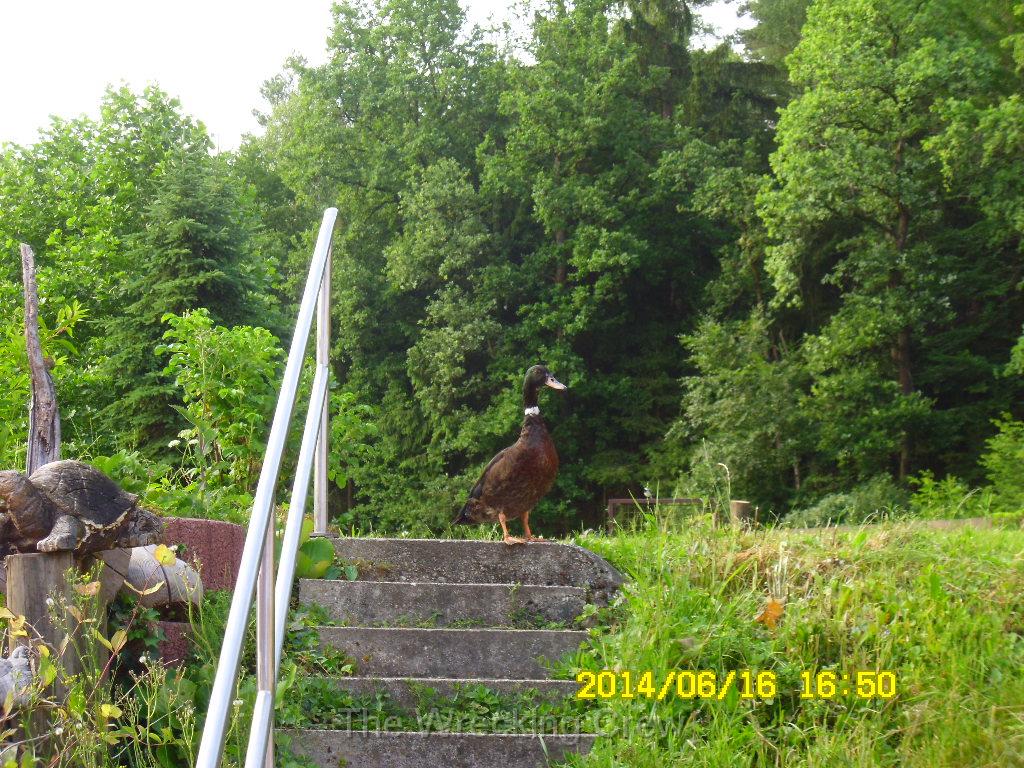 Turkey (376).JPG
